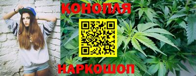 мяу мяу мука Гусиноозёрск