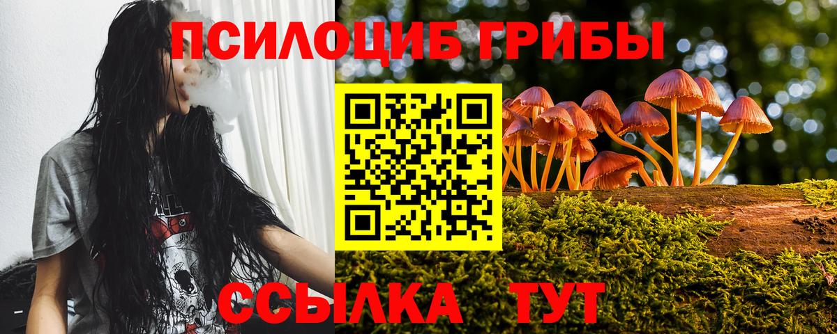 Галлюциногенные грибы GOLDEN TEACHER Новый Уренгой