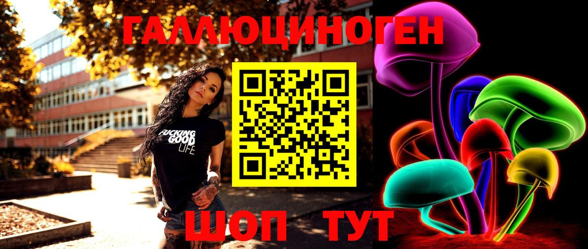 Псилоцибиновые грибы Psilocybe  где найти   Новый Уренгой  Вход с VPN 